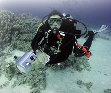 padi scuba course videography underwater